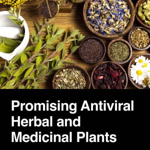 Promising Antiviral Herbal and Medicinal Plants First Edition