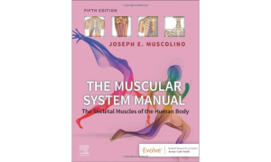 The Muscular System Manual: The Skeletal Muscles of the Human Body 5th Edition