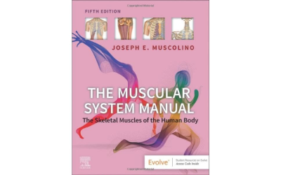 The Muscular System Manual: The Skeletal Muscles of the Human Body 5th Edition