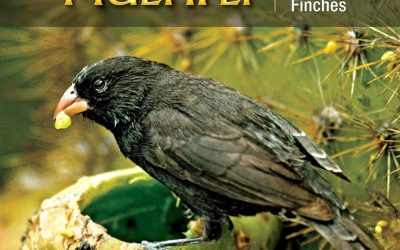 How and Why Species Multiply: The Radiation of Darwin’s Finches