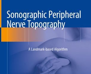 Sonographic Peripheral Nerve Topography: A Landmark-based Algorithm