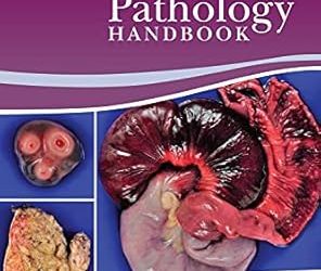 Gross Pathology Handbook: A Guide to Descriptive Terms Second Edition