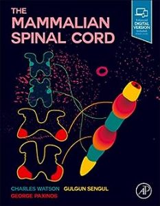 Hematological Profile of Cord Blood in Infants First Edition