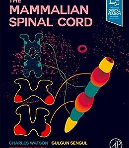 The Mammalian Spinal Cord First Edition