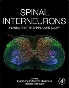 Spinal Interneurons Plasticity After Spinal Cord Injury First Edition