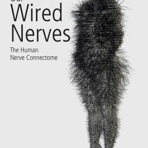 Our Wired Nerves  The Human Nerve Connectome First Edition