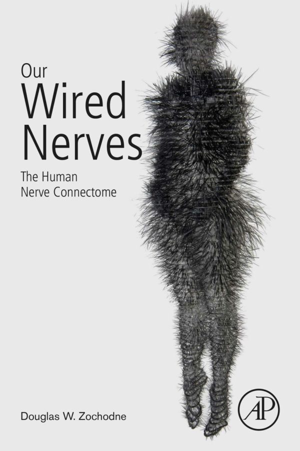 Our Wired Nerves  The Human Nerve Connectome First Edition