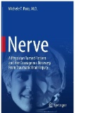 Nerve: A Physician Turned Patient and Her Courageous Recovery From Traumatic Brain Injury First Edition