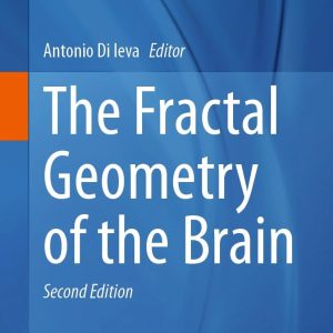 The Fractal Geometry of the Brain Advances in Neurobiology  36 Second Edition