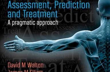 Muskuloskeletal Pain  Assessment Prediction and Treatment A Pragmatic Approach First Edition
