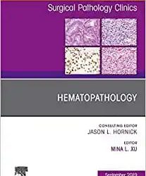 Hematopathology An Issue of Surgical Pathology Clinics Volume 16-2 First Edition