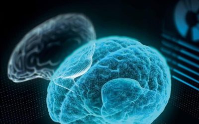 Radiomics and Radiogenomics in Neuro-Oncology An Artificial Intelligence Paradigm  Volume 1 First Edition