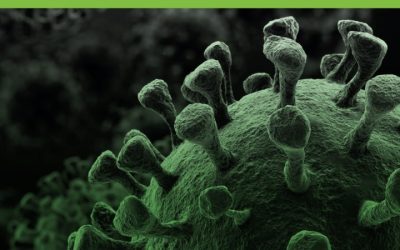 The Pathology and Imaging of Coronavirus Pneumonia First Edition