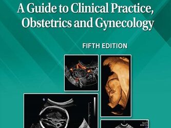 Workbook for Diagnostic Medical Sonography: Obstetrics and Gynecology 5th edition
