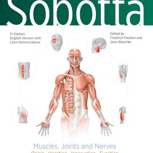 Sobotta Learning Tables of Muscles, Joints and Nerves, English/Latin Tables to 17th ed. of the Sobotta Atlas