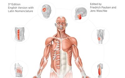 Sobotta Learning Tables of Muscles, Joints and Nerves, English/Latin Tables to 17th ed. of the Sobotta Atlas