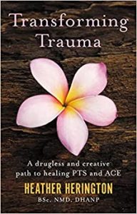 Transforming Trauma A Drugless and Creative Path to Healing PTS and ACE First Edition