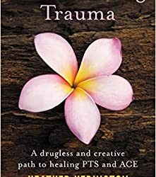 Transforming Trauma A Drugless and Creative Path to Healing PTS and ACE First Edition