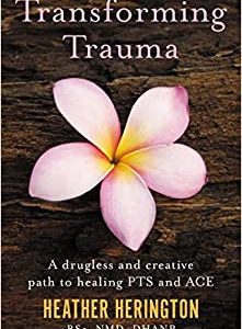 Transforming Trauma A Drugless and Creative Path to Healing PTS and ACE First Edition