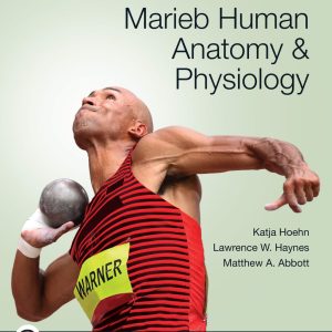 Marieb Human Anatomy &amp Physiology Twelfth Edition