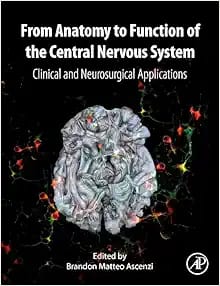 From Anatomy to Function of the Central Nervous System Clinical and Neurosurgical Applications First Edition