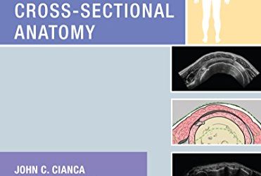 Musculoskeletal Ultrasound Cross-Sectional Anatomy