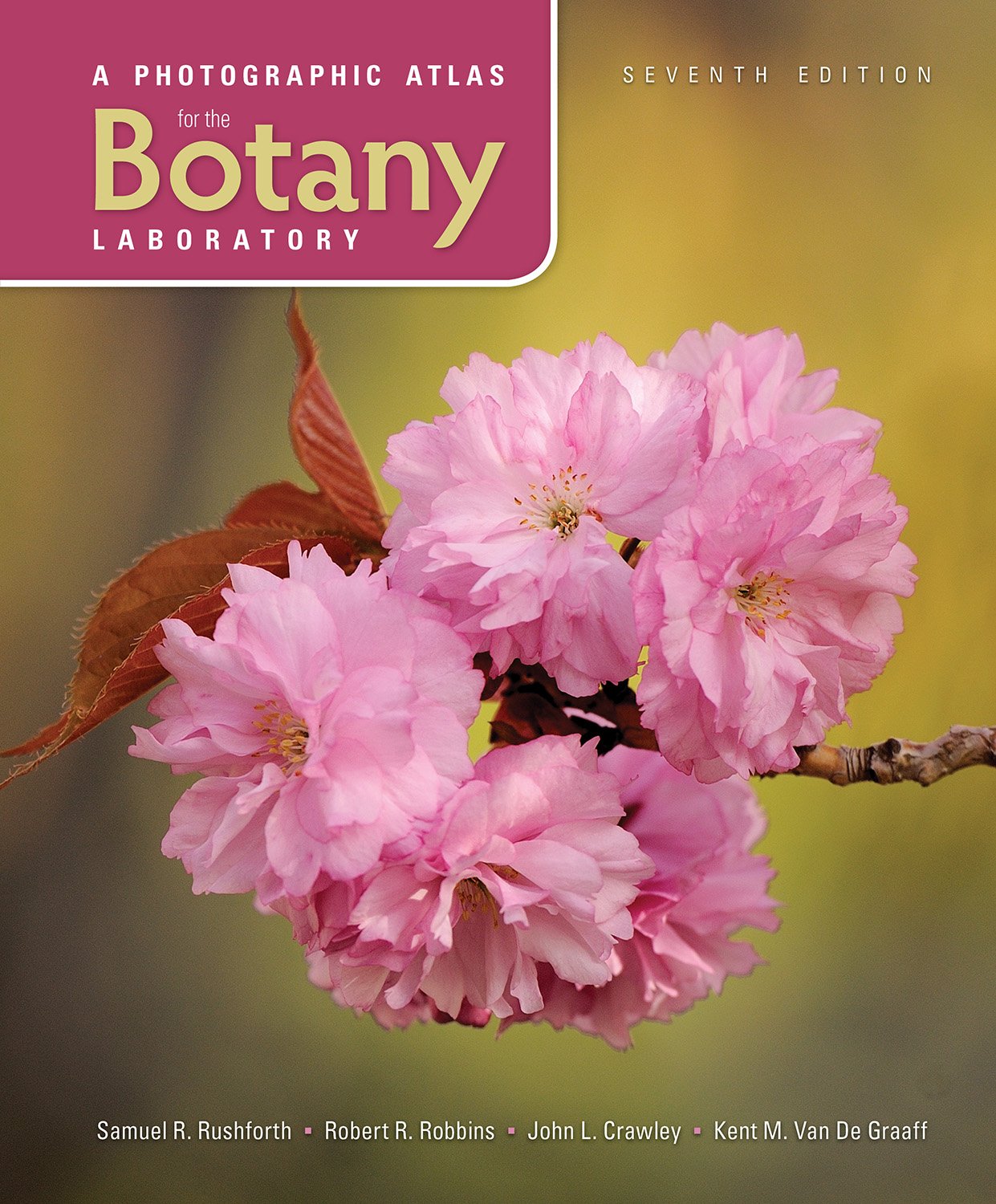 A Photographic Atlas for the Botany Laboratory 7th Edition A Photographic Atlas for the Botany Laboratory 7th Edition