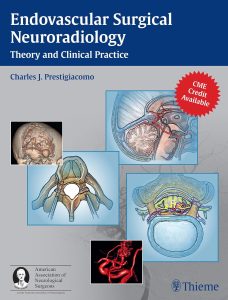 Endovascular Surgical Neuroradiology: Theory and Clinical Practice 1st Edition