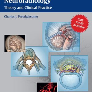 Endovascular Surgical Neuroradiology: Theory and Clinical Practice 1st Edition