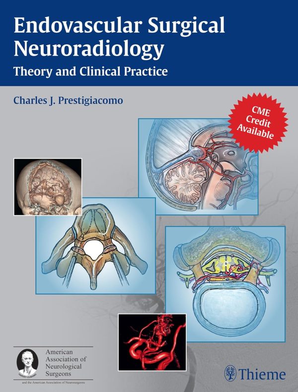 Endovascular Surgical Neuroradiology: Theory and Clinical Practice 1st Edition