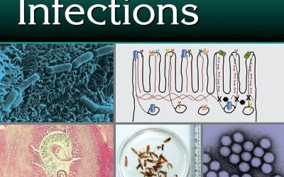 Laboratory Models for Foodborne Infections (Food Microbiology) 1st Edition