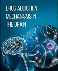 Drug Addiction Mechanisms in the Brain