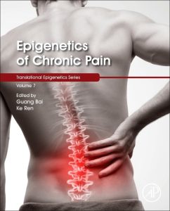 Epigenetics of Chronic Pain (Volume 7) (Translational Epigenetics, Volume 7) 1st Edition