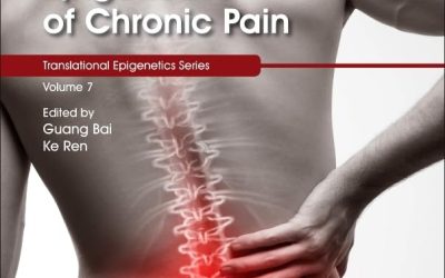Epigenetics of Chronic Pain (Volume 7) (Translational Epigenetics, Volume 7) 1st Edition