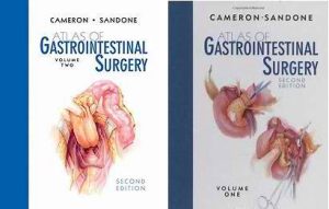 Atlas of Gastrointestinal Surgery 2nd Edition Two volume set