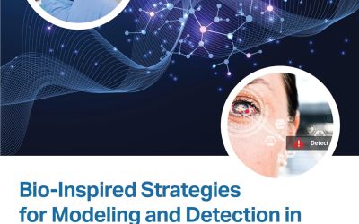 Bio-Inspired Strategies for Modeling and Detection in Diabetes Mellitus Treatment 1st Edition