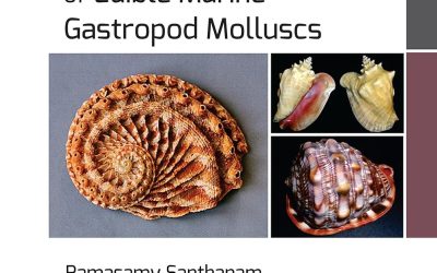 Biology and Ecology of Edible Marine Gastropod Molluscs