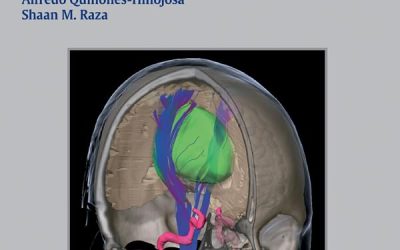 Controversies in Neuro-Oncology: Best Evidence Medicine for Brain Tumor Surgery 1st Edition