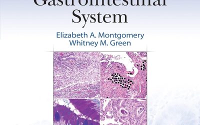 Differential Diagnoses in Surgical Pathology: Gastrointestinal System