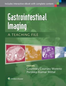 Gastrointestinal Imaging: A Teaching File (LWW Teaching File Series) 1st Edition