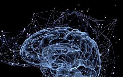 Radiomics and Radiogenomics in Neuro-Oncology: An Artificial Intelligence Paradigm : Genetics and Clinical Applications – Volume 2
