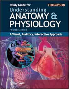Understanding Anatomy & Physiology: A Visual, Auditory Interactive Approach Fourth Edition