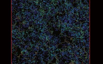 Immuno-oncology and immunotherapy Part C (Volume 191)