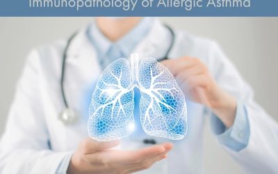 Allergic Asthma Immunopathogenesis: Immunopathology of the Allergic Asthma First Edition