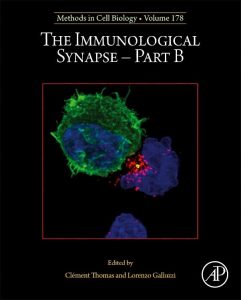 The Immunological Synapse – Part B (Volume 178)
