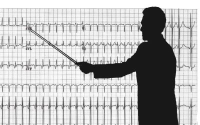 Josephson School A Legacy of Important Contributions to Electrophysiology First Edition