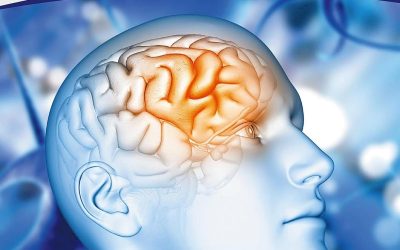 Diagnostic Pathology Neuropathology