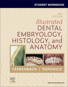Student Workbook for Illustrated Dental Embryology, Histology and Anatomy Sixth Edition