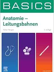 BASICS Anatomie – Leitungsbahnen Third Edition