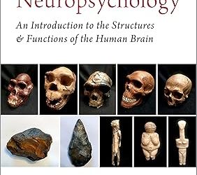 Evolutionary Neuropsychology: An Introduction to the Structures and Functions of the Human Brain